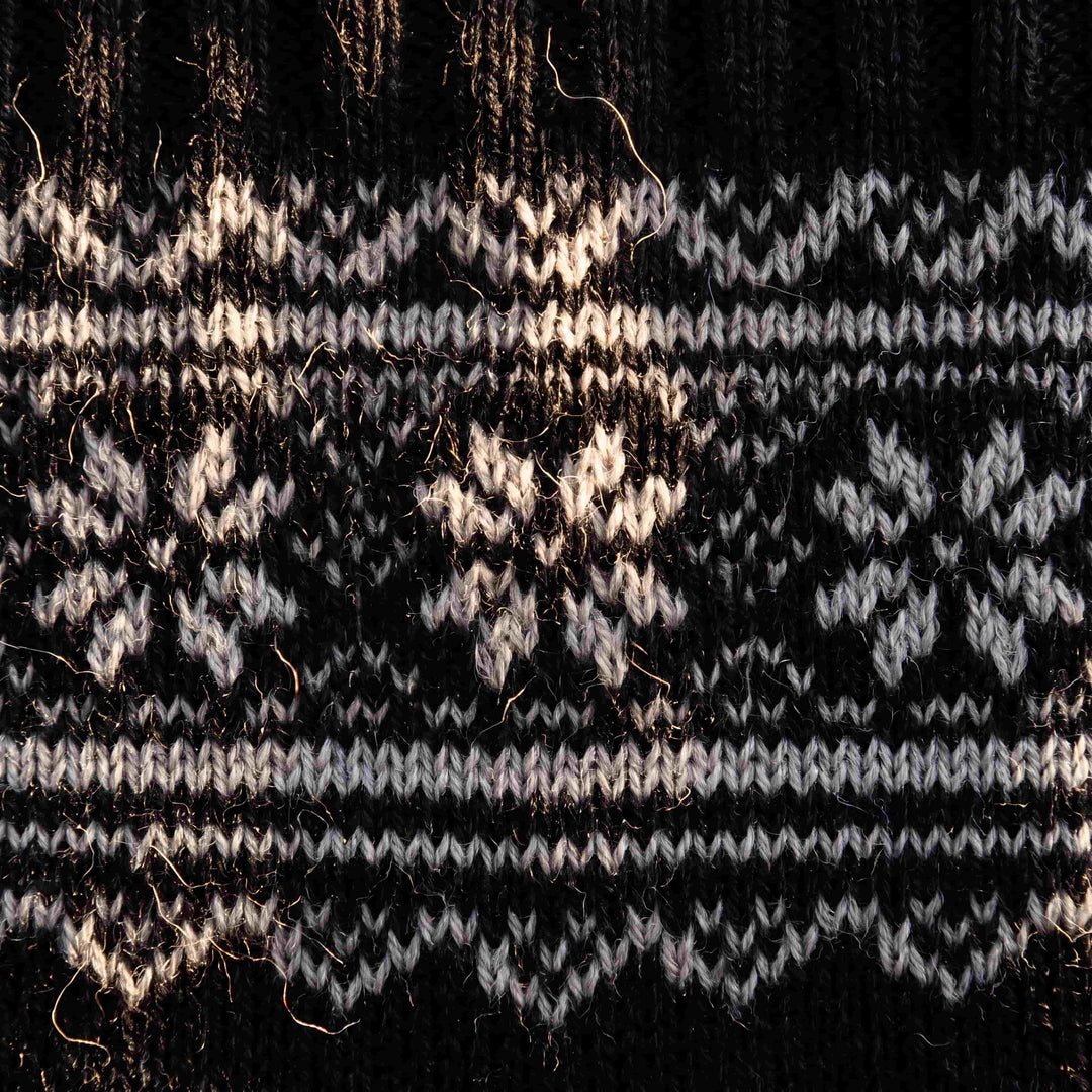 Polesien